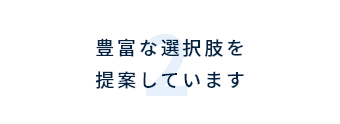 豊富な選択肢を提案しています